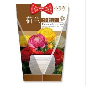 开心农场阳台种菜新选择 小花农荷兰经典花卉系列一站式购齐